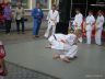 Altstadtfest 161.jpg